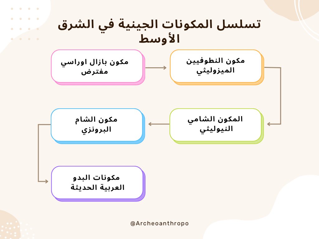 1/8
من اجل تصحيح المسار الجيني ونظرا لكثرة الاسئلة بالخاص، كان لا بد لي من التذكير بما أجمعت عليه كل الدراسات العلمية بخصوص اصول العرب الجينية. تسلسل العرب الجيني المبني على دراسات الرفات هو واضح. ولا يمكن ان يكون الجديد اصلا للقديم منطقيا.