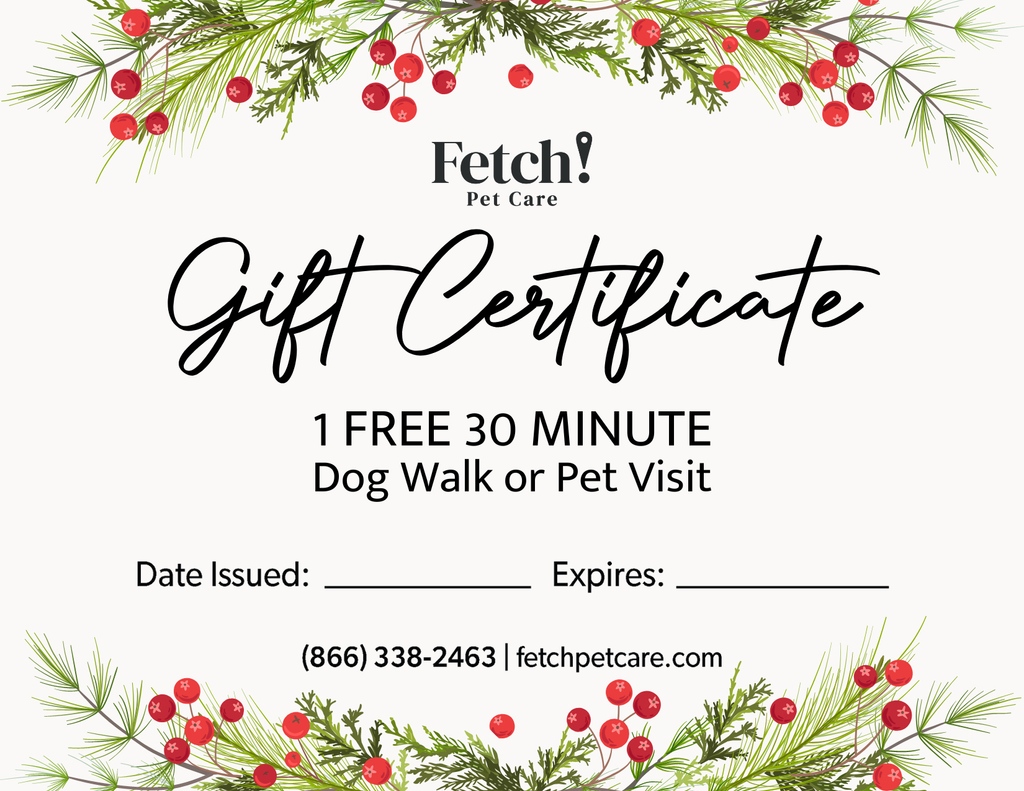 FetchPetCare's tweet photo. As the holidays approach, looking for the perfect gift for your pets furry friend? Contact your local Fetch! Pet Care for more details! https://t.co/KZcvuwzY8a