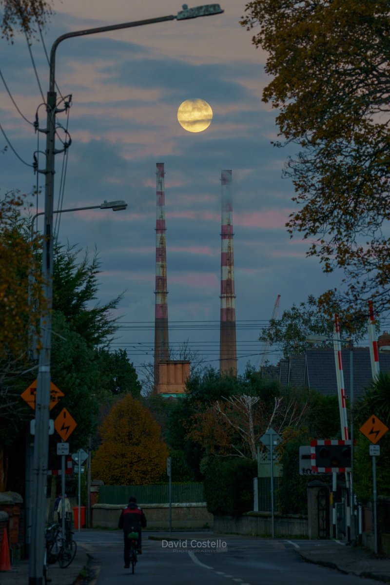 The Cold Moon rises above the Poolbeg Chimneys from Sandymount Avenue today.

davidcostellophotography.com

#PoolbegChimneys #ColdMoon #FullMoon #Sandymount #Dart #Cyclist #December #Dublin
@StormHour @ThePhotoHour