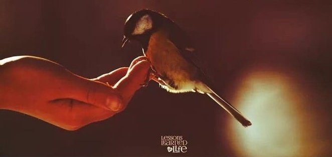 issaghanem's tweet photo. Do good for others...
It will come back to you in unexpected ways.
#Do_Good
#ToWhomItMayConcern https://t.co/TxhnrzxwzC