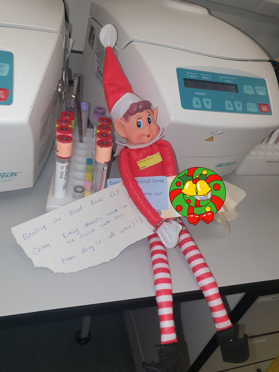 CathBella1's tweet photo. Cannot get this naughty elf to behave! Clearly doesn't understand the GMP 😂 @DerbyshirePath #funinthelab 🎄 https://t.co/9LrijKYAji