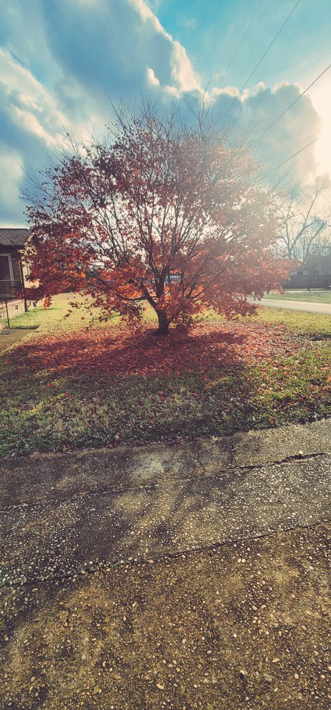 TheFlowolfmama's tweet photo. #AUTUMN #FALL #DECEMBER #MYFAVMONTH #LOVELIFE #SPREADJOY @THEMAMAFLOWOLF (IG HANDLE) https://t.co/IIVHir4bqv