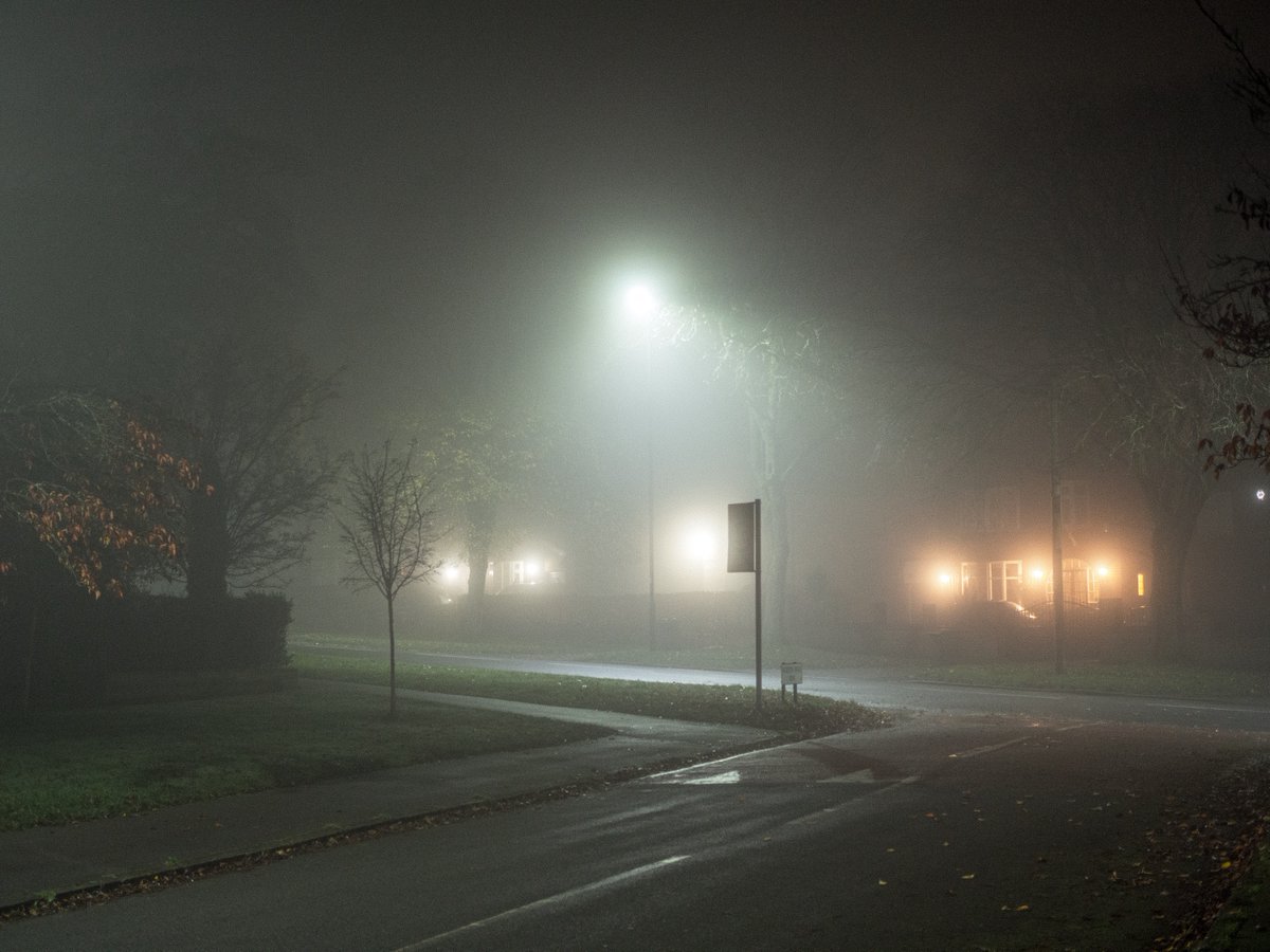 tracedinlight tweet picture