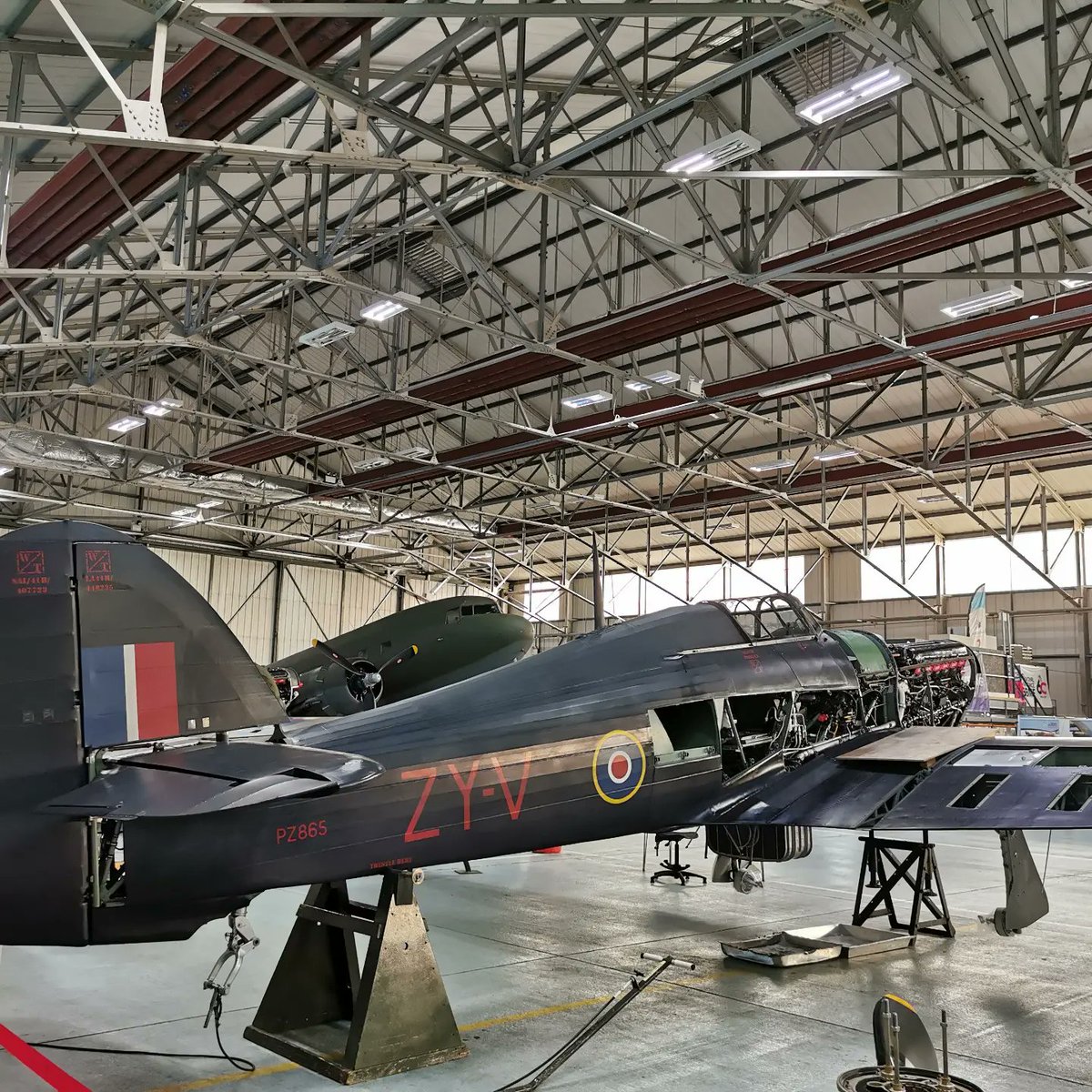 Linda Campbell tweet media