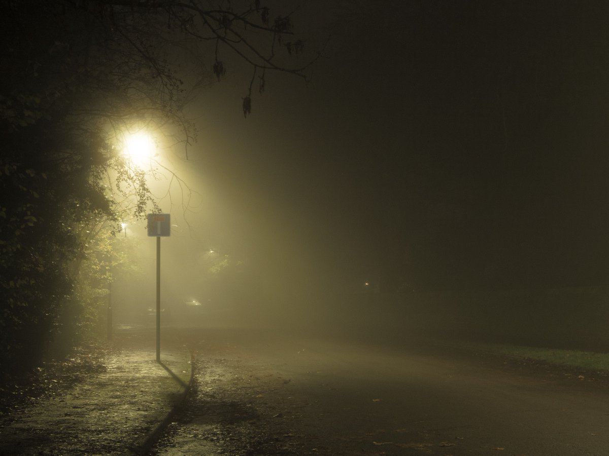 tracedinlight tweet picture