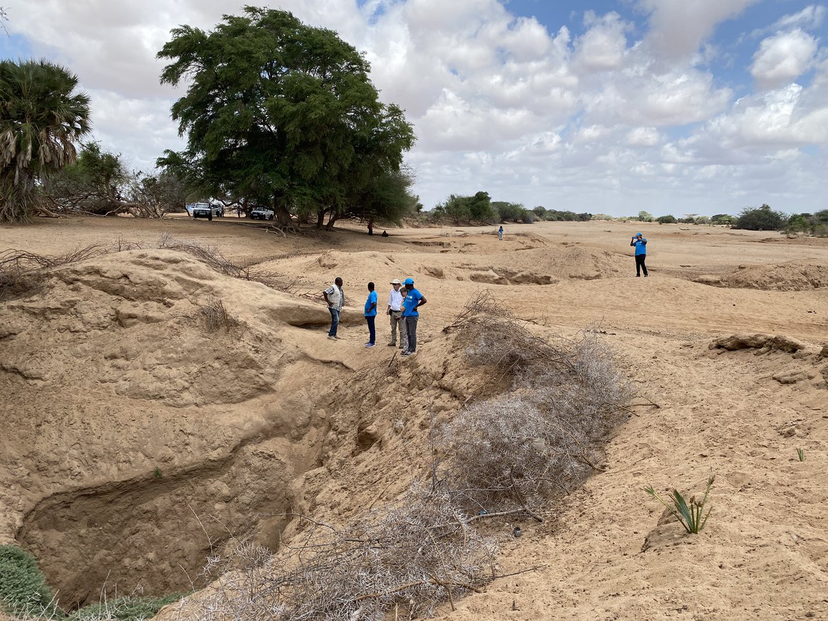se_fische's tweet photo. Die Flüsse in Garissa sollten zur Regenzeit Wasser führen. Das war zuletzt 2019. Seit dem herrscht Dürre. Das Vieh verdurstet, die Folgen sind verheerend, vor allem für die Kinder. Jedes Kind, dem wir helfen können, ist eine gute Nachricht. @unicefdeutschland #KampfgegenHunger https://t.co/WdU7gPMfPR