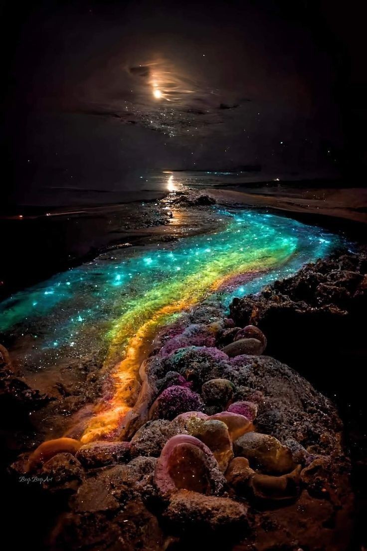 #nature