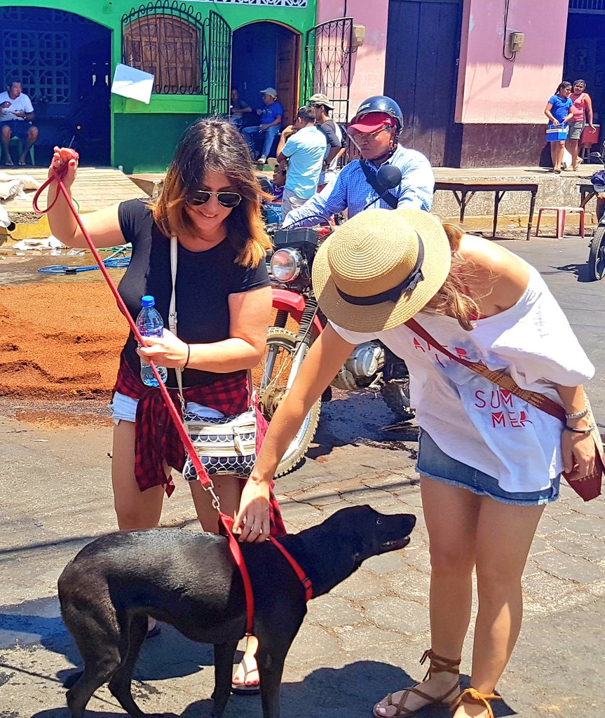 Zambranitis's tweet photo. Supongo que la mejor manera de pasar un 7 de diciembre lejos de Nicaragua es... Recordar y sonreír.
Si, así de cursi, trillado, repetitivo y positivamente tóxico como suena.
Cc. @kicheco #Tomasina https://t.co/DoVRi6hQPl
