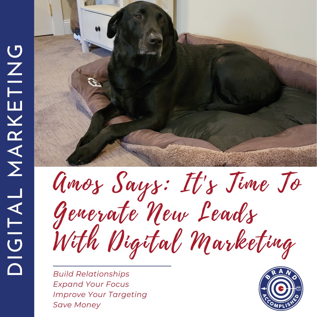Amos is asking us all to remember that Digital Marketing is where it's at! Digital marketing strategies are the most efficient and cost-effective way to generate new leads!

#BrandAccomplished #beengaging #socialmediaconsultant