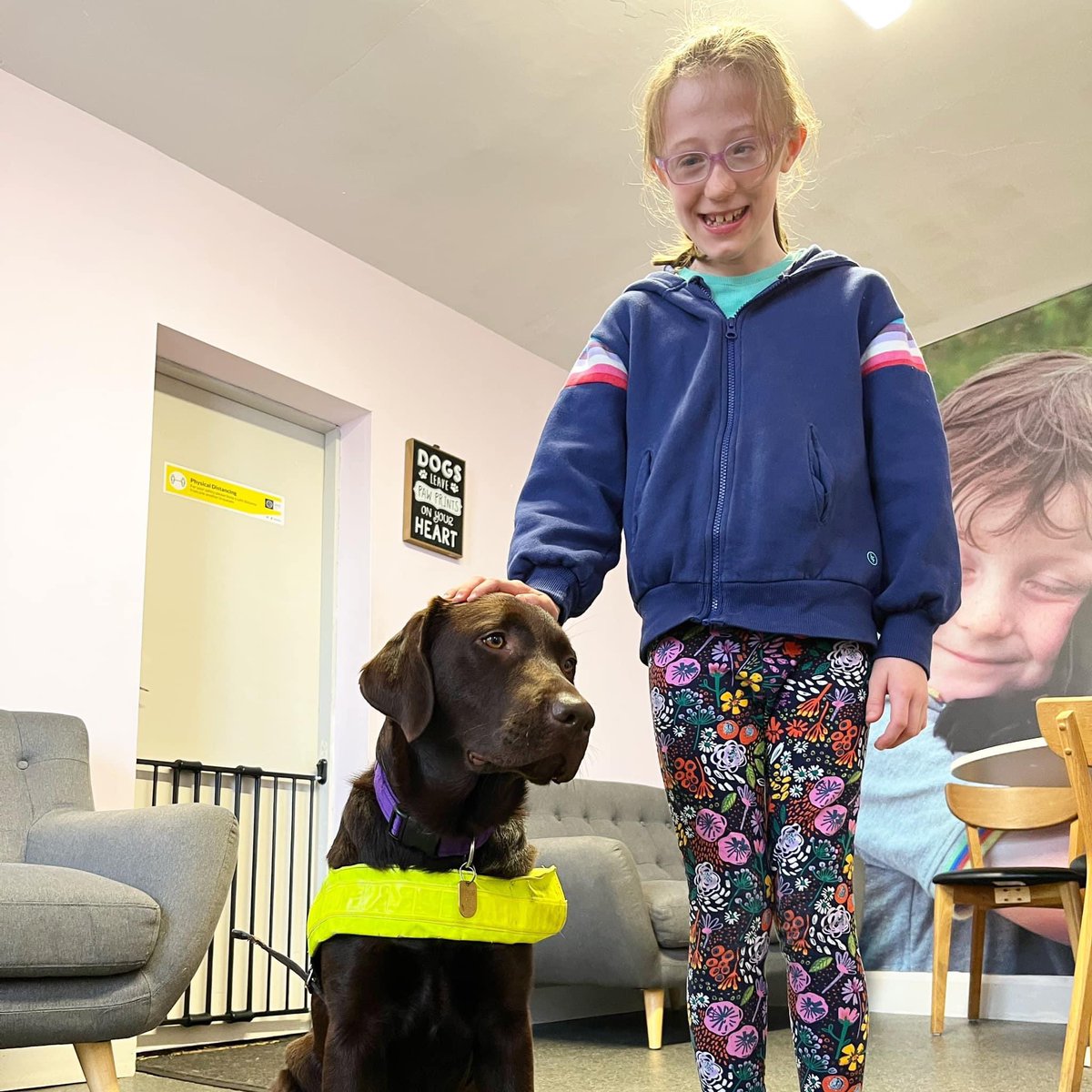 DogsForTheDisabled tweet media