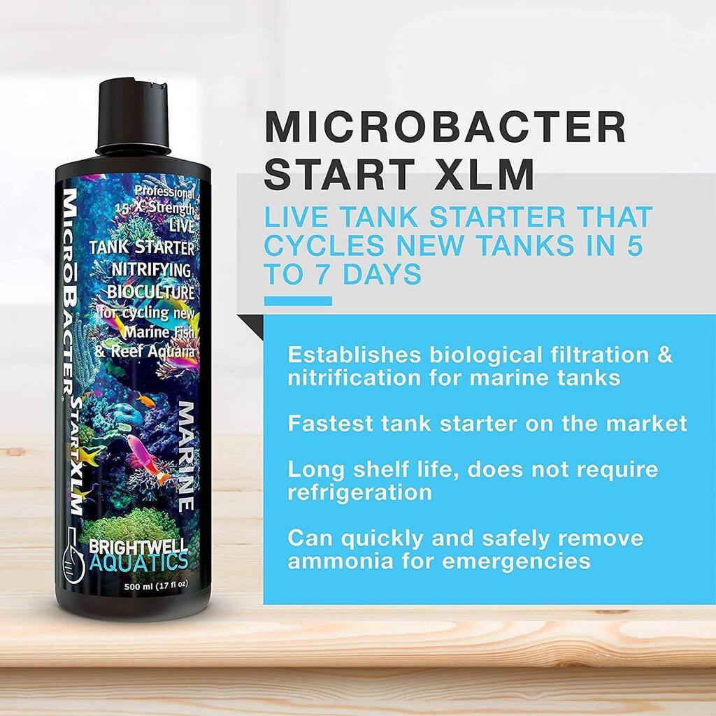 There is nothing like MicroBacter Start XLM on the market. Cycling new tanks in 5 to 7 days, it’s the fastest tank starter on the market.

#brightwellaquatics #marinetank #reeftank #coraltank #microbacter instagr.am/p/Cl4IqF8J8Px/