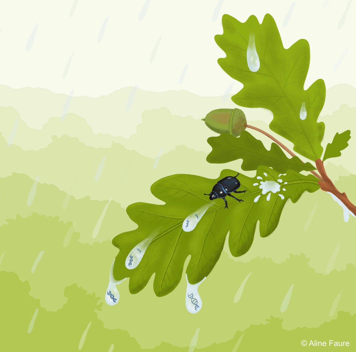 Nadia Faure tweet media