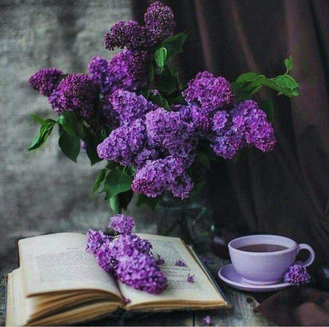 сирень кафе