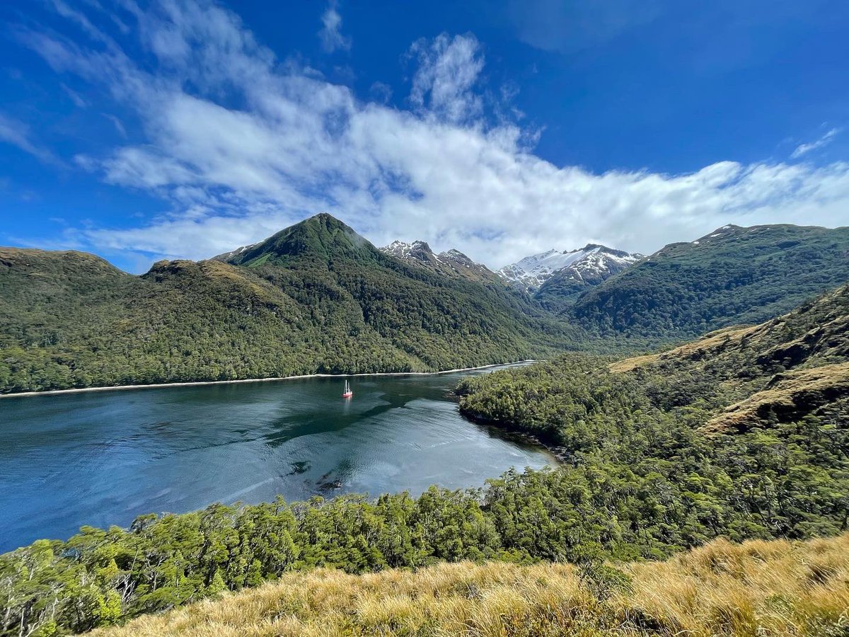 Andy Hein tweet media