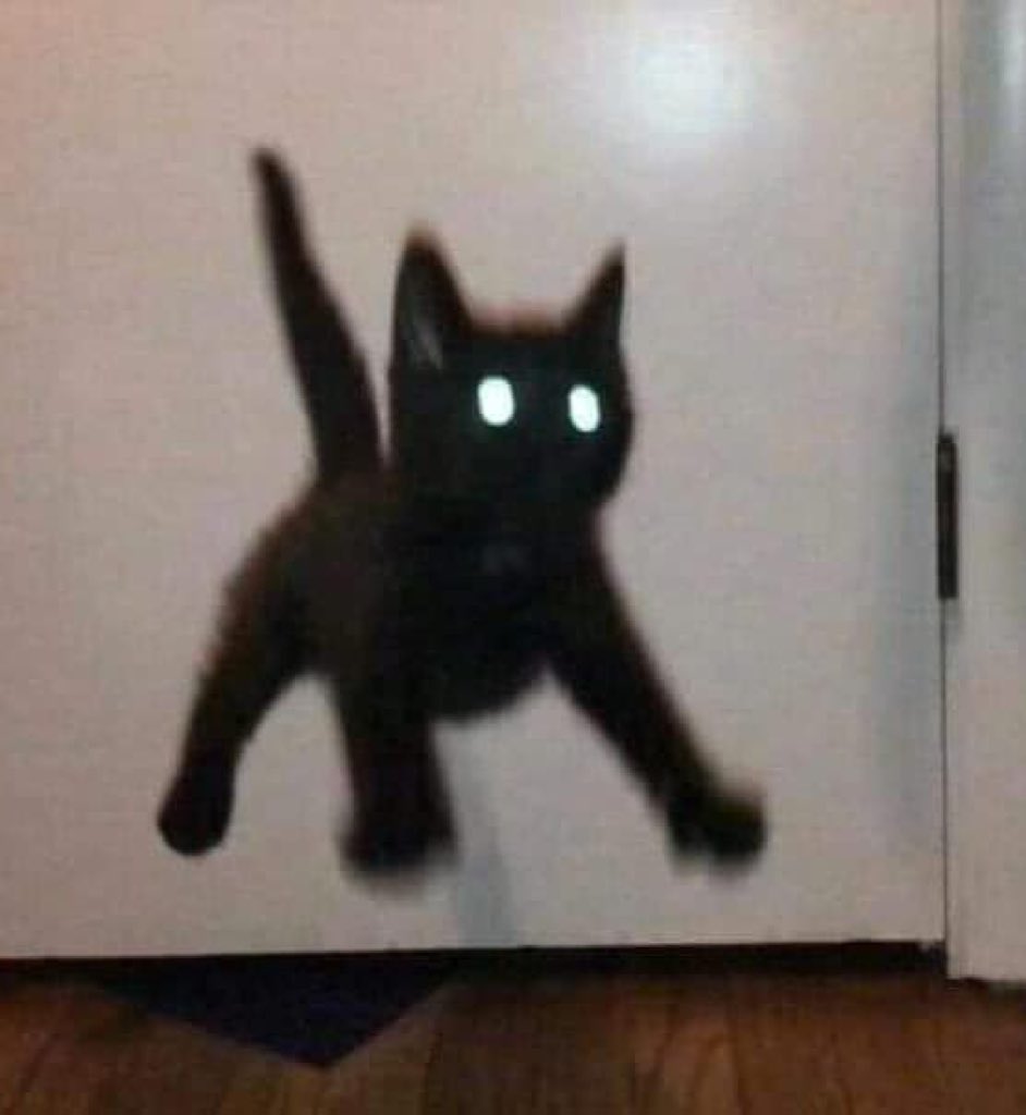 kapebeansies's tweet image. 