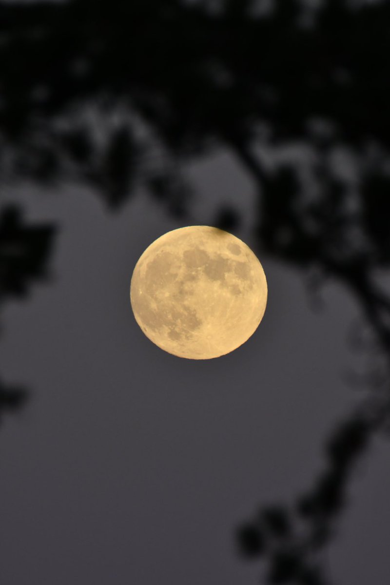 Reflections,Moon and Sunset <a href="/TurfLocksPub/">TurfLocksPub</a> @Exeestuary @Exeter_Hour <a href="/kwife/">Em</a> #moon #reflections