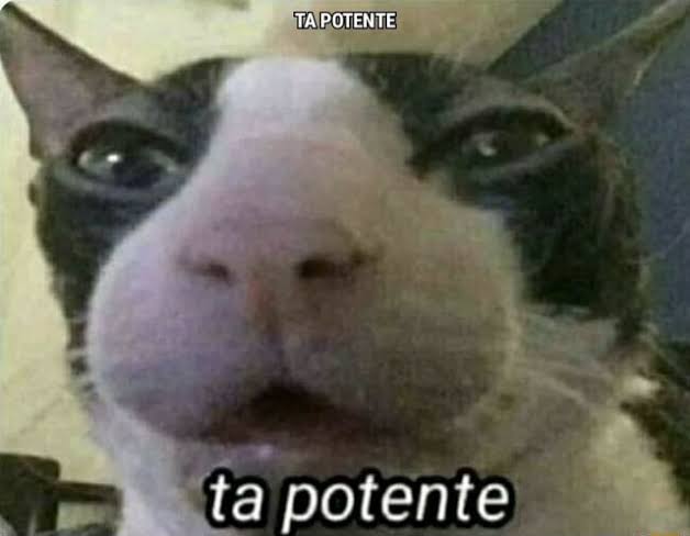 [Imagem: FjZZjVSXoAEb9Ul.jpg]