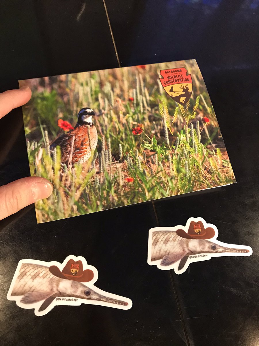 MandyBaileyWX's tweet photo. I GAR-antee this just made my day. Thank you @OKWildlifeDept ! #garweek #butlater https://t.co/5ntAyp57BU