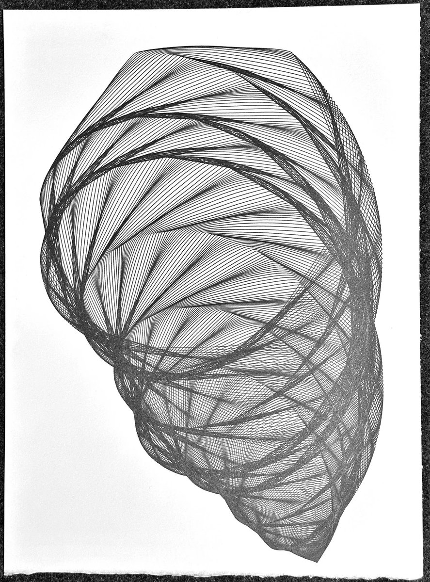 antialias_'s tweet photo. Playing with some black Uni Pin 0.1mm pens with polygon shapes spiralling around to make organic forms #plottertwitter #penplotter https://t.co/esVPvKmTx4