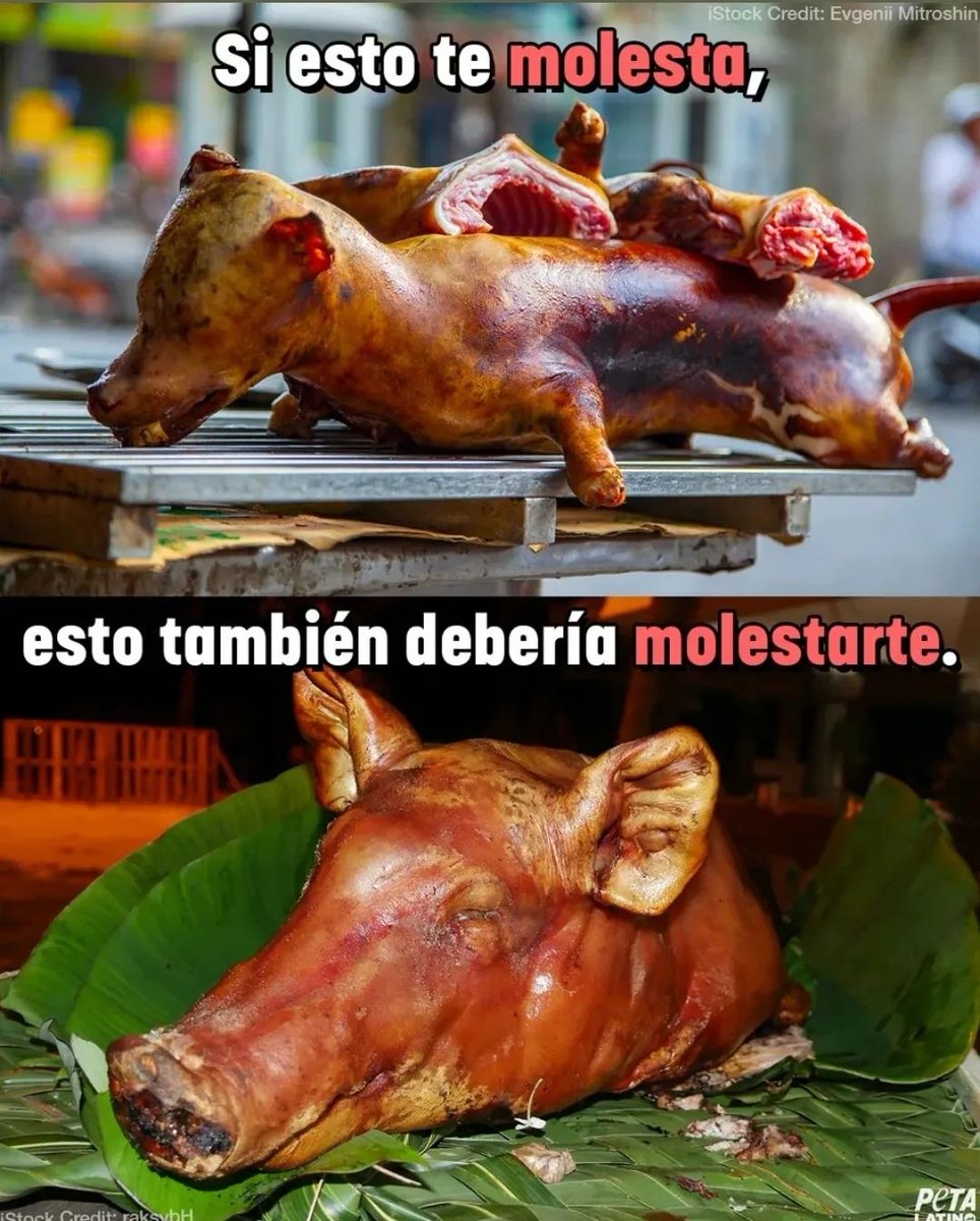 Kratokrak🌱 tweet media