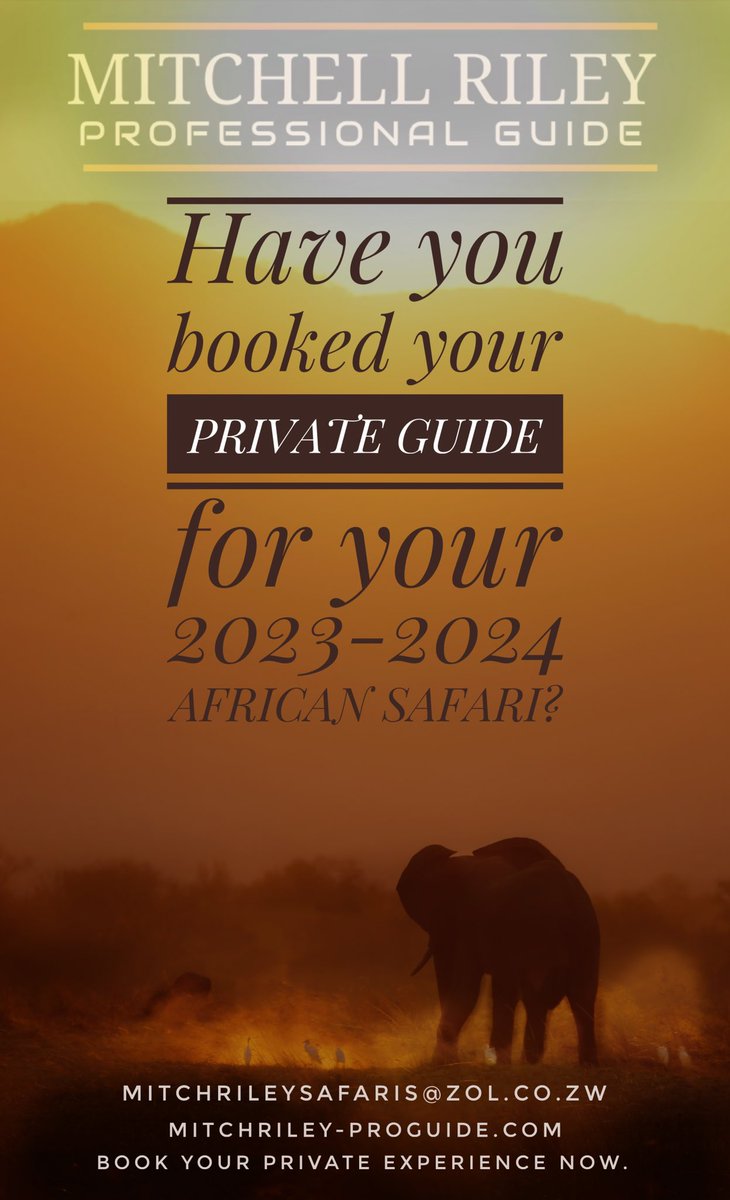 Time to get booking your  2023 - 2024 African Safari.