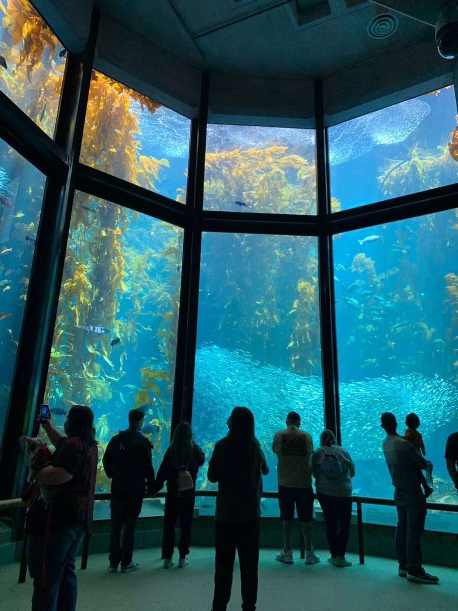 Anne77912098's tweet photo. I want to have the fish's seven-second memory, so there will be no sadness https://t.co/MRSl1SvCqO