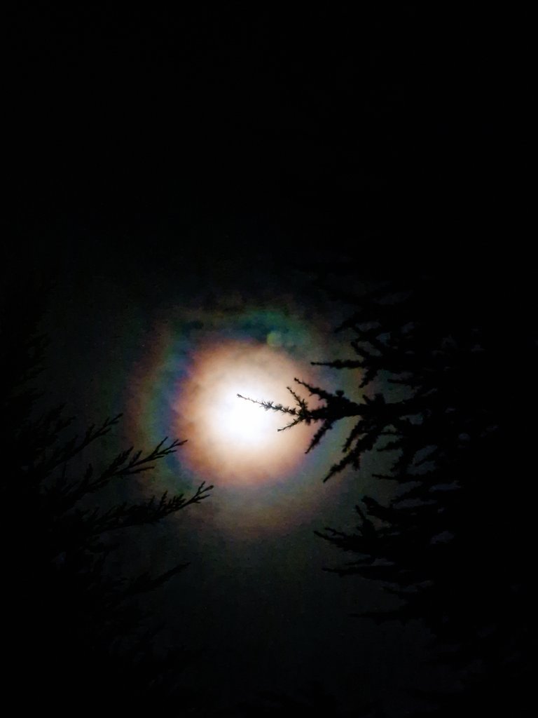 Lev1athon's tweet photo. It might be cold out, but that's a pretty spectacular #moonbow https://t.co/qZTO5NtUkY