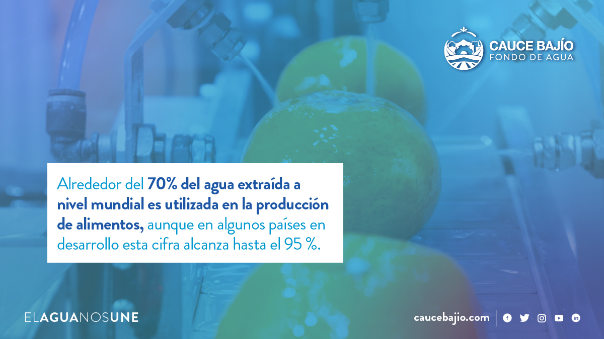 Es por ello que la seguridad alimentaria está directamente ligada a la calidad y cantidad de agua disponible. Diseñemos un futuro sostenible, con agua para todo y todos. #ElAguaNosUne