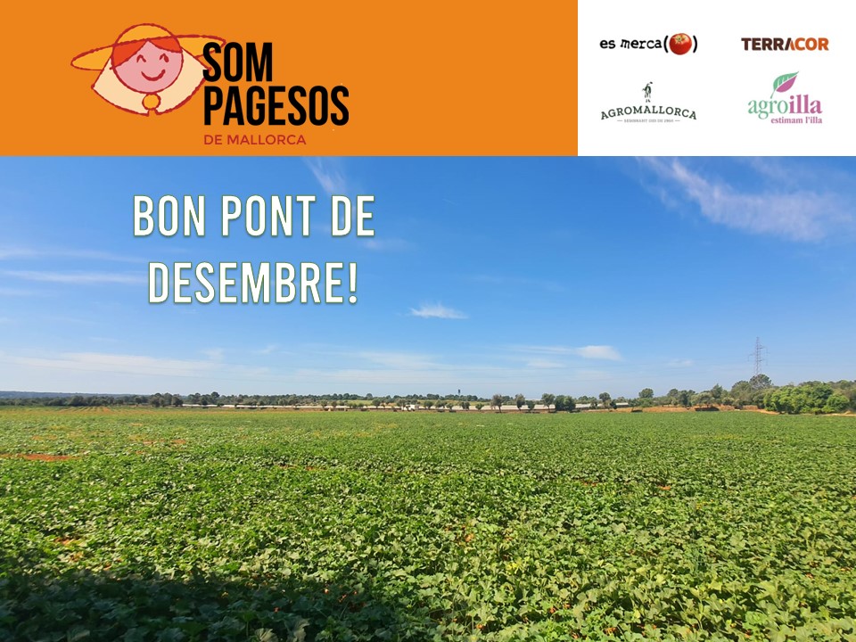 ☝️Comencen els festius de desembre. Us desitgem descans, salut i bons aliments. Si són mallorquins, molt millor. Tria SOM PAGESOS! #sompagesos #agriculturasostenible #pagesia #productelocal #Mallorca #sompasesosmallorca #sostenibilidad  #agromallorca #agroilla #EsMerca #terracor