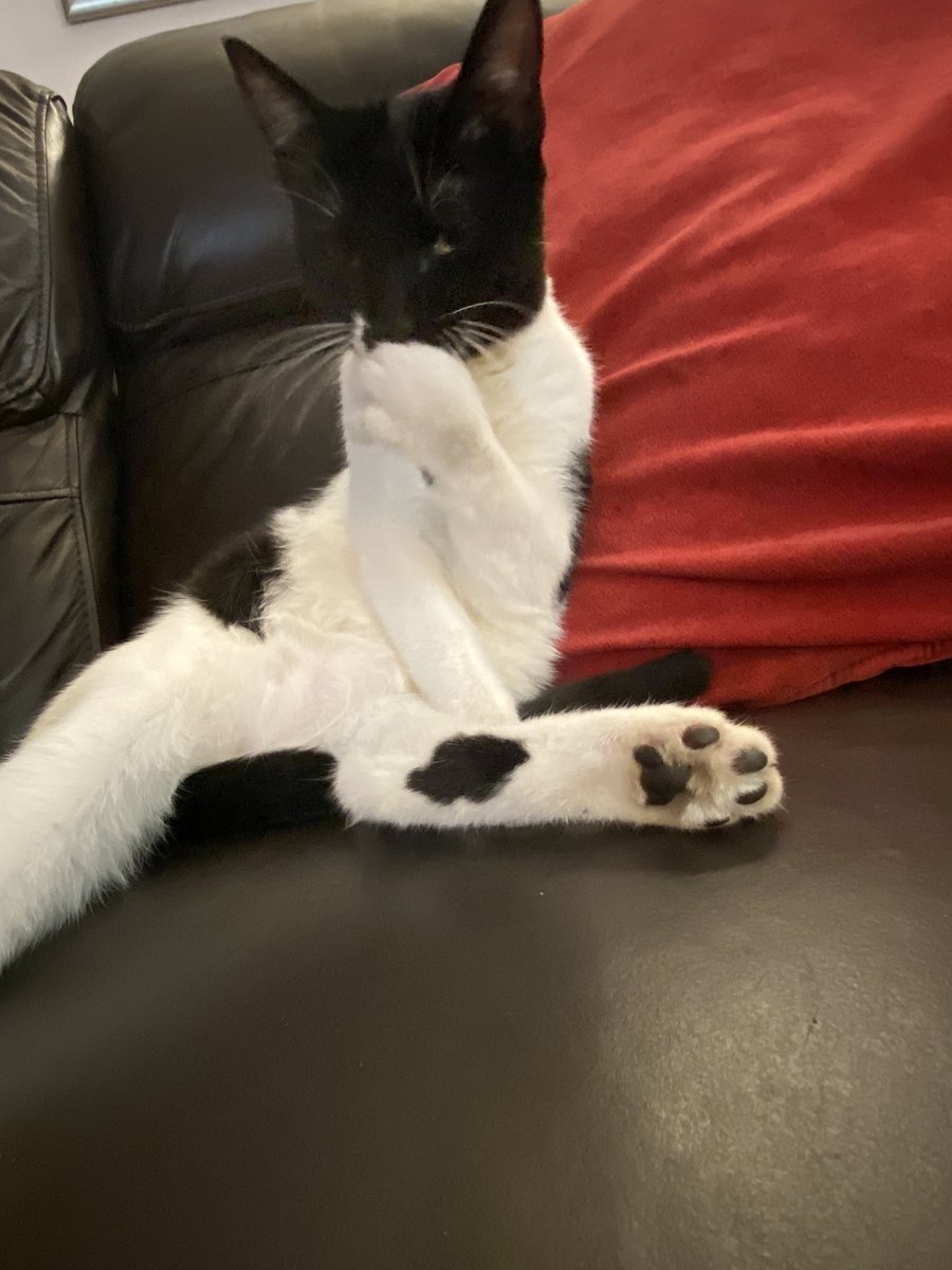 Been a bit quiet lately as they decided I would like a sister….