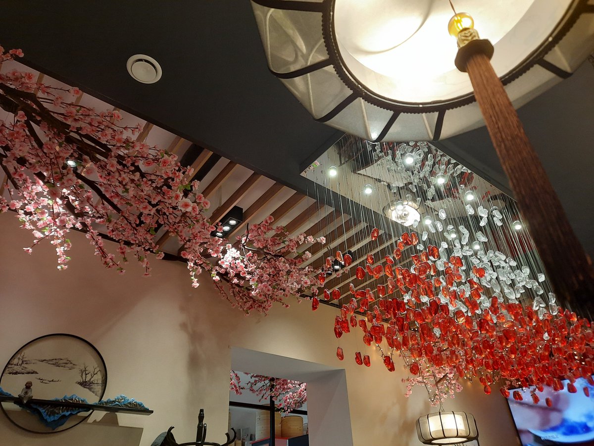 LoyaltyTraveler's tweet photo. Chinese food dinner at Jinling Dumpling, #Krakow tonight was most expensive meal so far in #Poland. Kung Pao chicken, vegetarian fried rice and pork dumplings with 2 pints Zywiec for 120 PLN or $27. Very tasty meal.
And received 10% off next meal card.
#beatinginflation https://t.co/M9ffb745vg