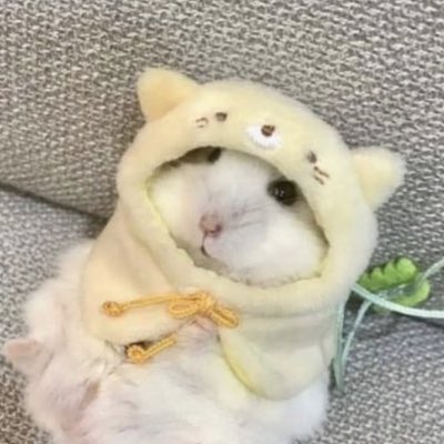 HumStir's tweet image. #NewProfilePic