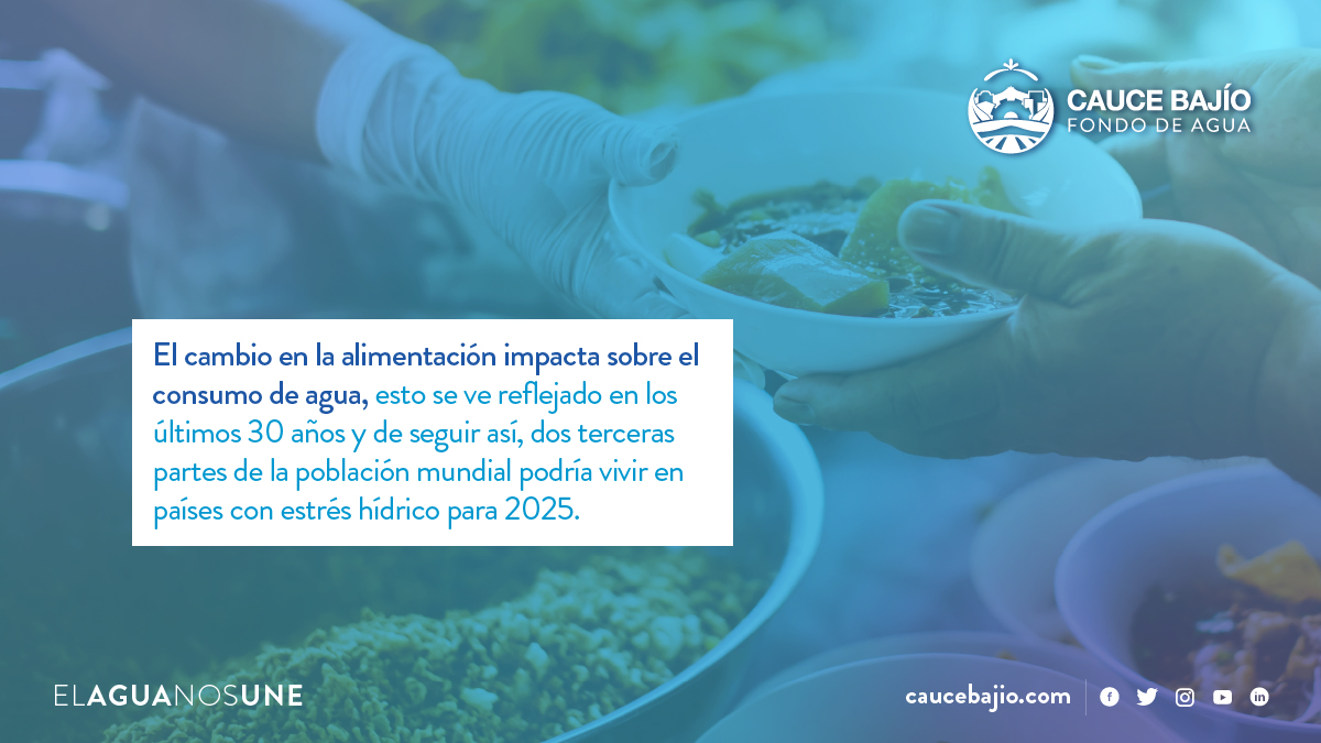 Nuestros hábitos alimenticios inciden en la seguridad hídrica, por eso es que las acciones en todos los espacios pueden ser pensadas y encaminadas a cuidar nuestro valioso recurso hídrico. #ElAguaNosUne
