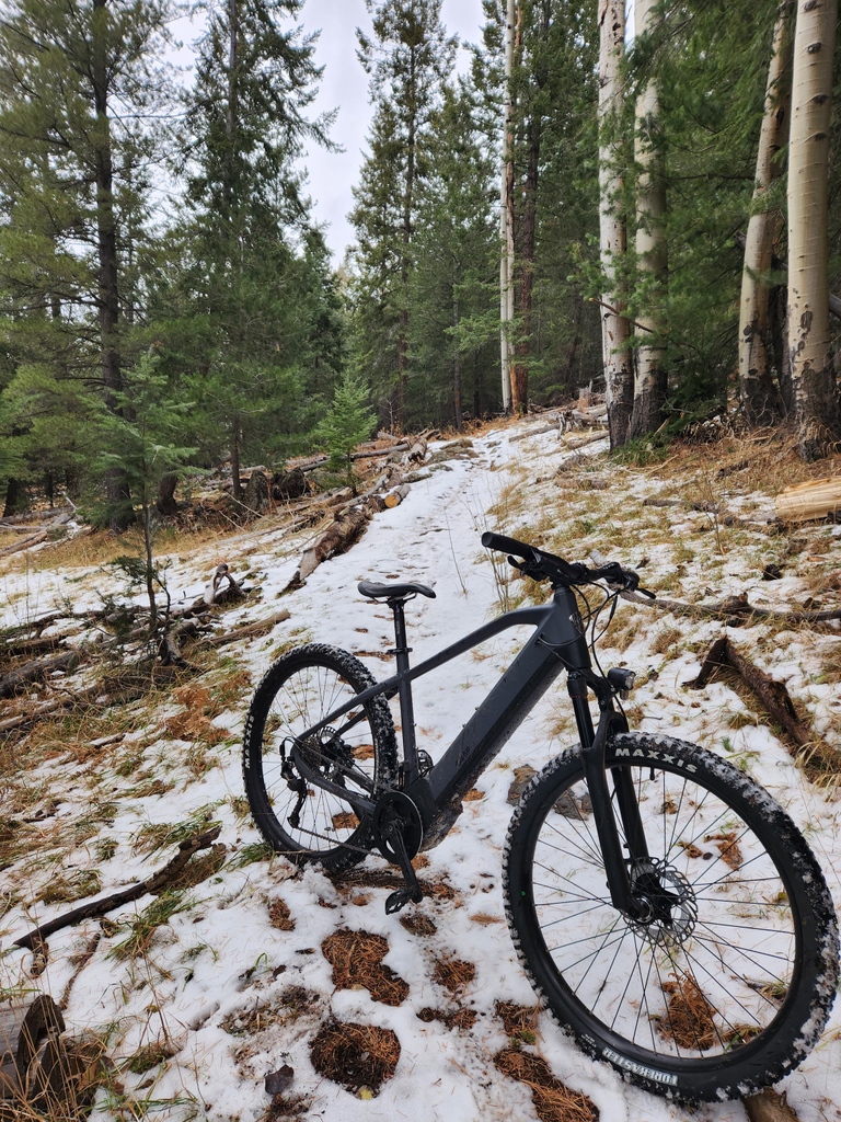 Ride1Up's tweet photo. Want to get away? Our Prodigy XC is the perfect ebike to get you there
#Ride1up #prodigy #electricbikes #ebikes #middrive #broseebike https://t.co/tbBNyAxcUI
