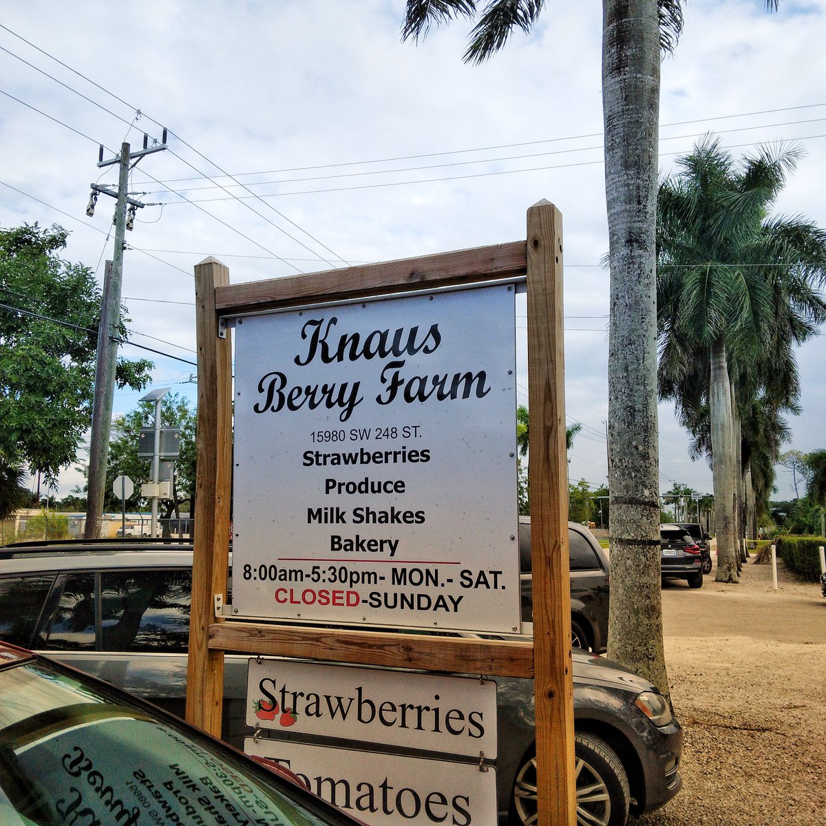 cheranct's tweet photo. The best road trip for the best baked goods in Florida.  Cinnamon buns baked fresh and warm, Black Bottom Cake, Key Lime Cookies and milk shakes @knausberryfarm https://t.co/cYIhor7Oac