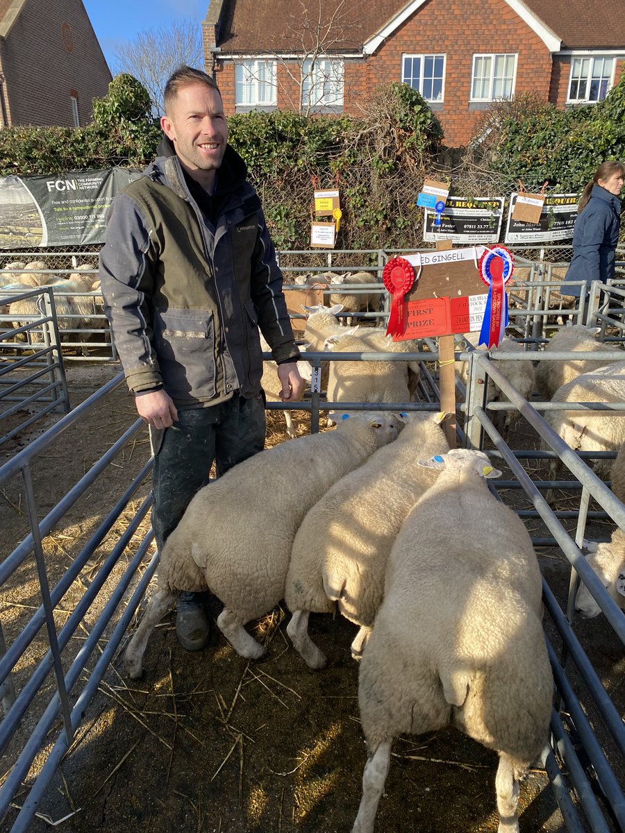 ed_gingell's tweet photo. Hailsham fatstock show, with a 1st for the pairs and first for the pen of three which then became overall champion. 😎🥳🐑 https://t.co/VeN3ra9aro