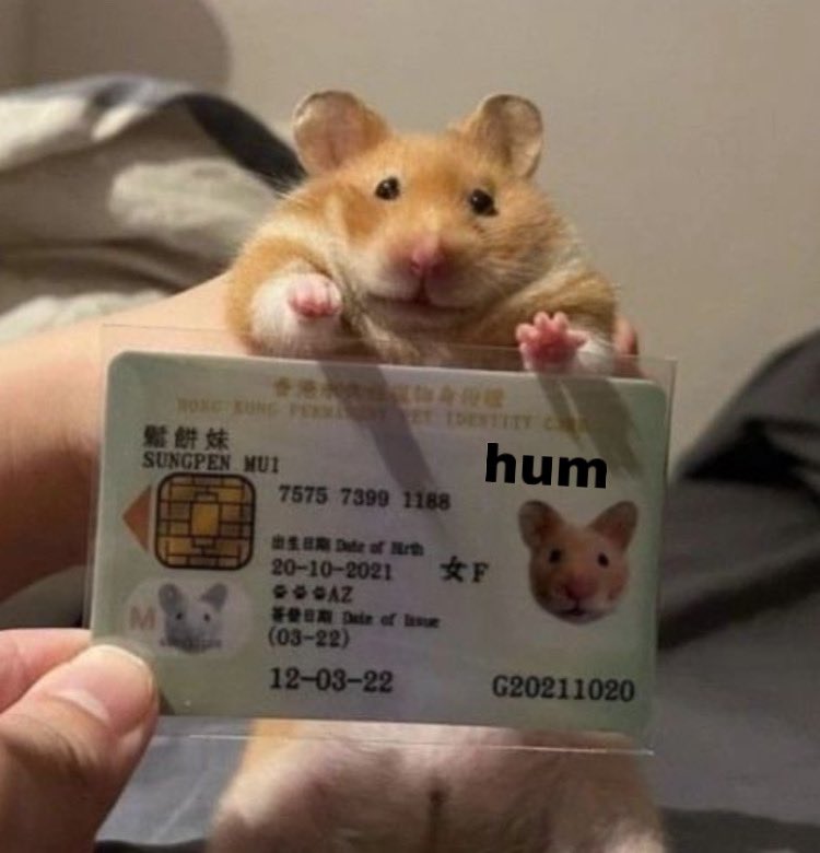 HumStir's tweet image. m,y hunm liesens officer. wat do u mean it , look fake ????