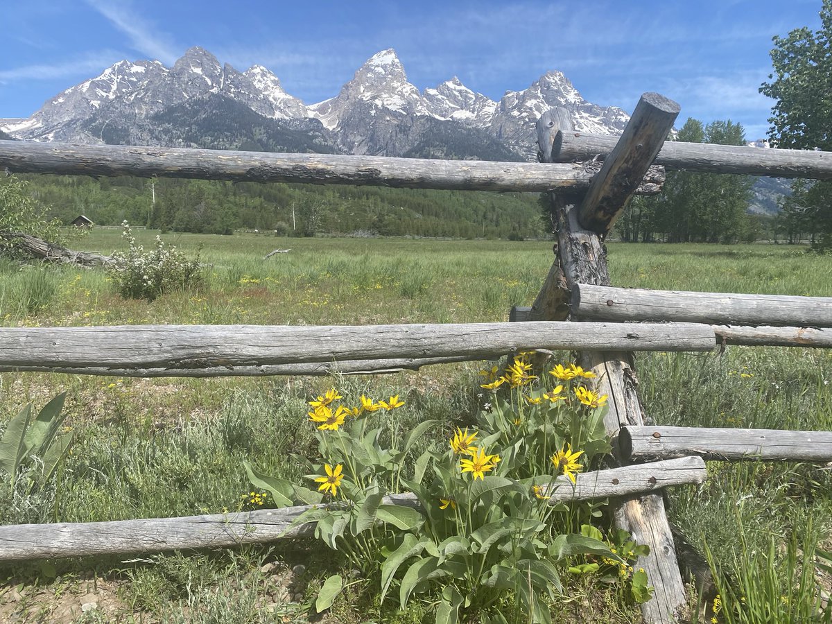 tannerlindz's tweet photo. @NatlParkService @GrandCanyonNPS @StatueEllisNPS @ShenandoahNPS @GatewayArchNPS @GrandTetonNPS  1,2 June 2022
@BlackCanyonNPS  August 2022
#greatsanddunesnps October 2022 https://t.co/YF5jdq0LqV