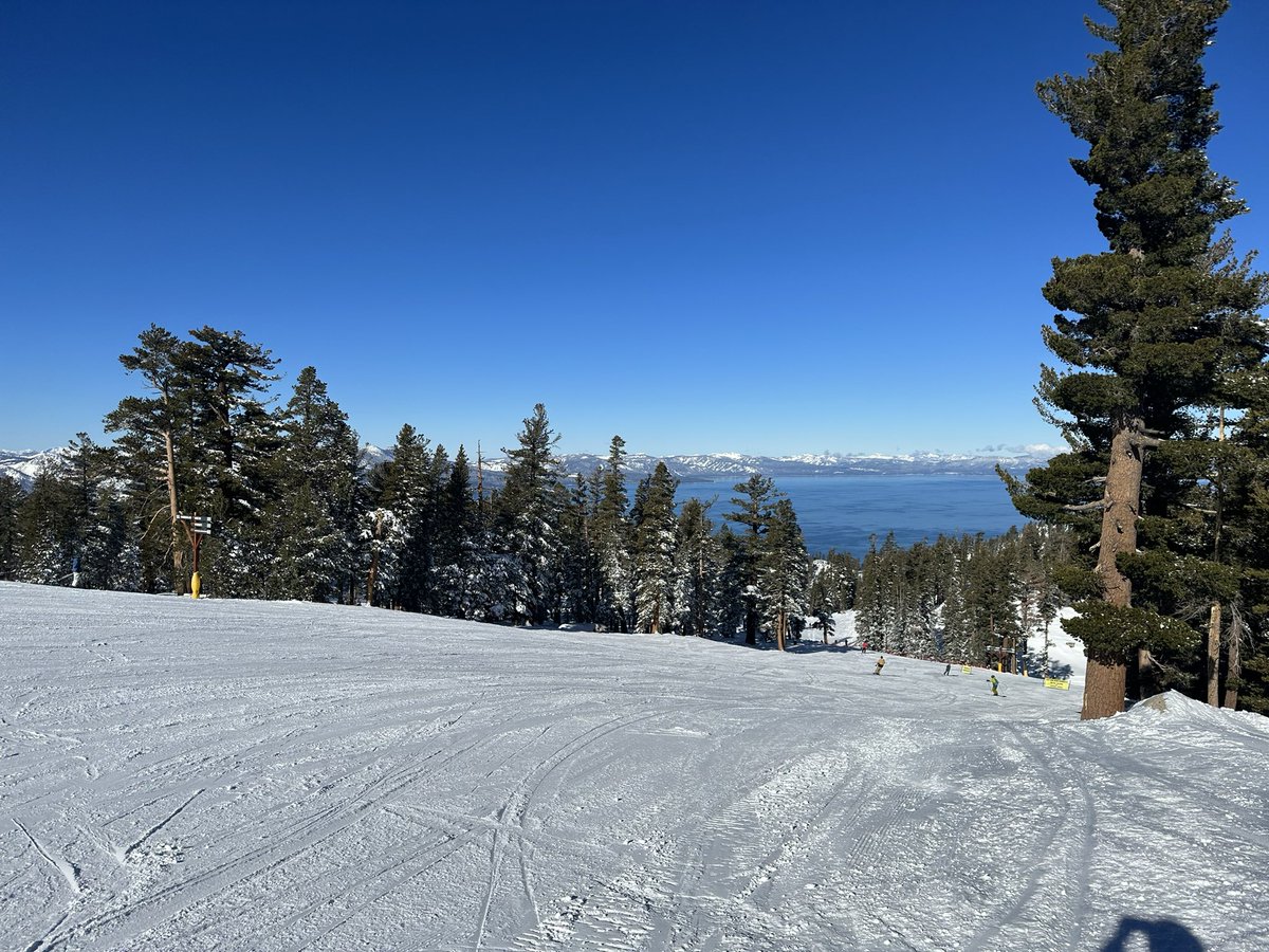 Feng ⛷Yun tweet media