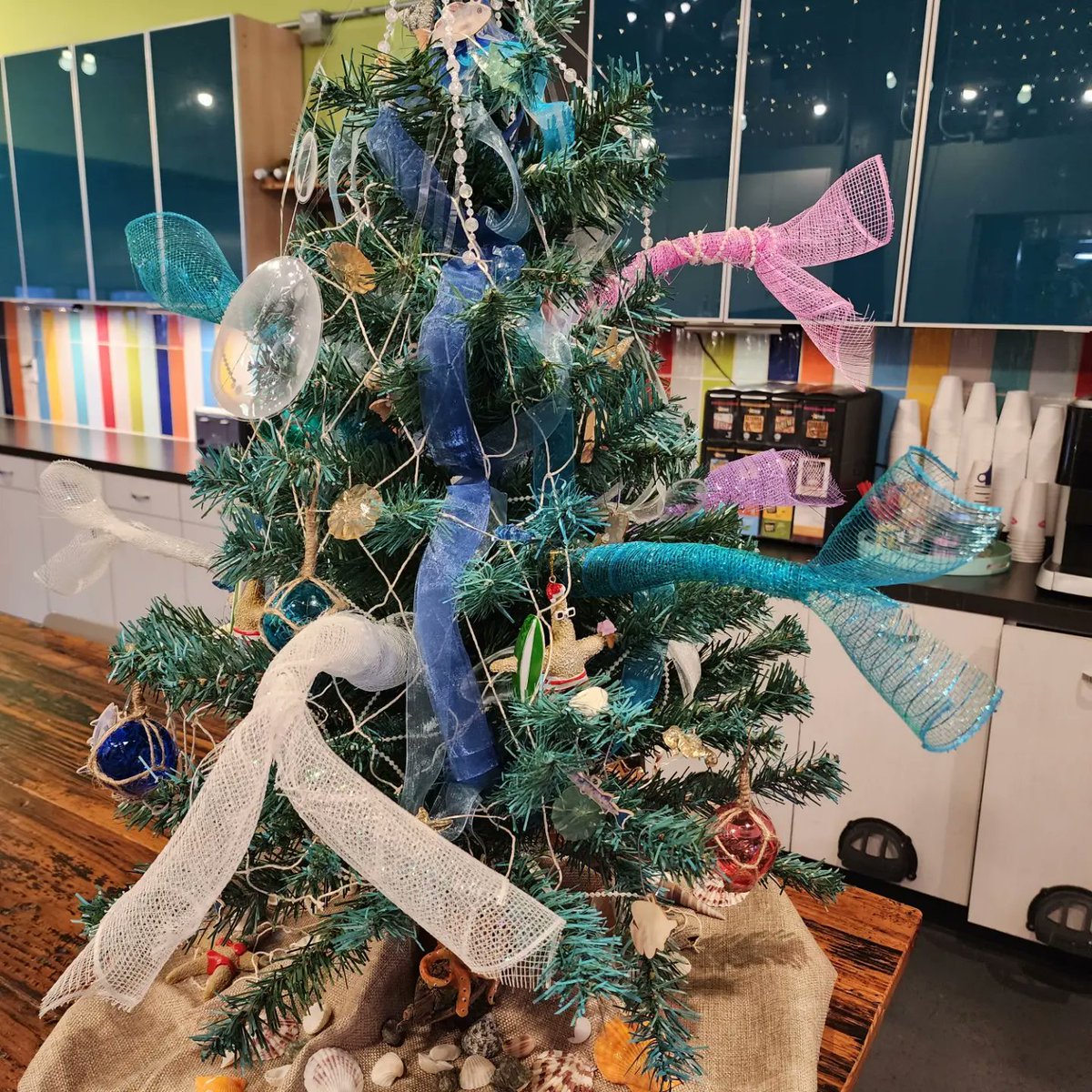 JonesComm's tweet photo. Joy to the World! JCI was honored to be a part of J+J flooring 2nd Annual Helping Hands Event! This event helps bring joy to kids and families during the holidays. We submitted 6 out of 150 trees to Cook Children's in Fort Worth and Children's in Dallas. https://t.co/UdcOneKOHO