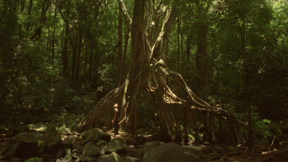 88rising's tweet image. JAMOJAYA, directed by Justin Chon, Brian's first ever film as a actor, and a lead actor at that, and 88rising’s first ever film, has been selected to premiere at SUNDANCE FILM FESTIVAL. 

SO PROUD of everyone, especially you Brian you are a genius!