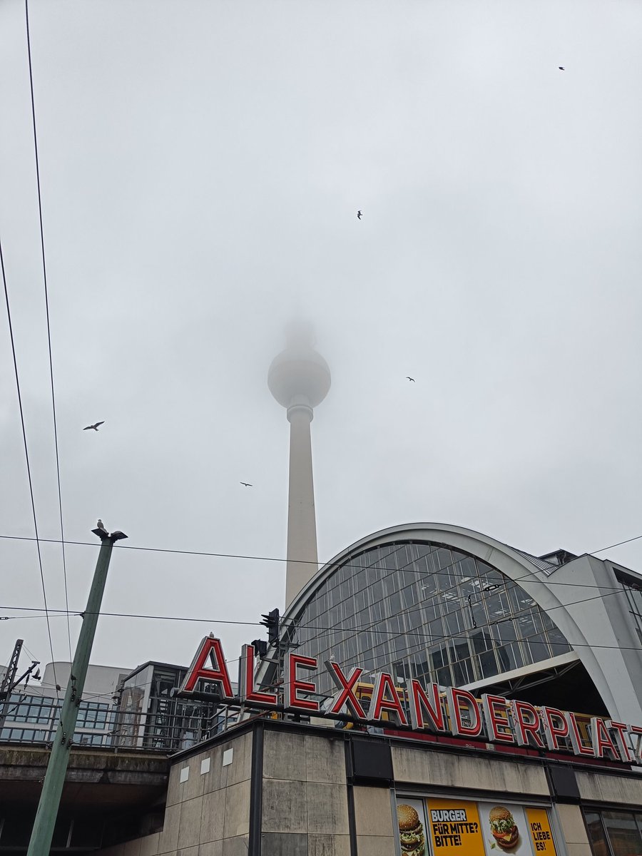 Federico Frezza 💤 tweet media