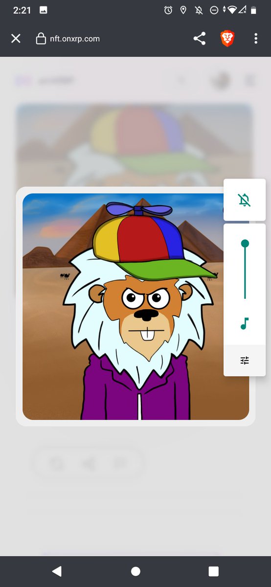 Admiral 🦉 Byrd Ᵽ 🐸 tweet media