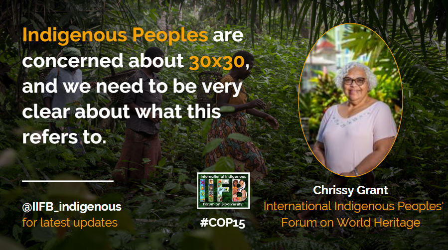 ForestPeoplesP's tweet photo. #COP15 

"#IndigenousPeoples are concerned about 30x30, and we need to be very clear about what this refers to."
Chrissy Grant at the @iifb_indigenous press conference at @CBD_COP15 today. 

#ForNature #ForPeopleAndNature https://t.co/GWLe37s7K9