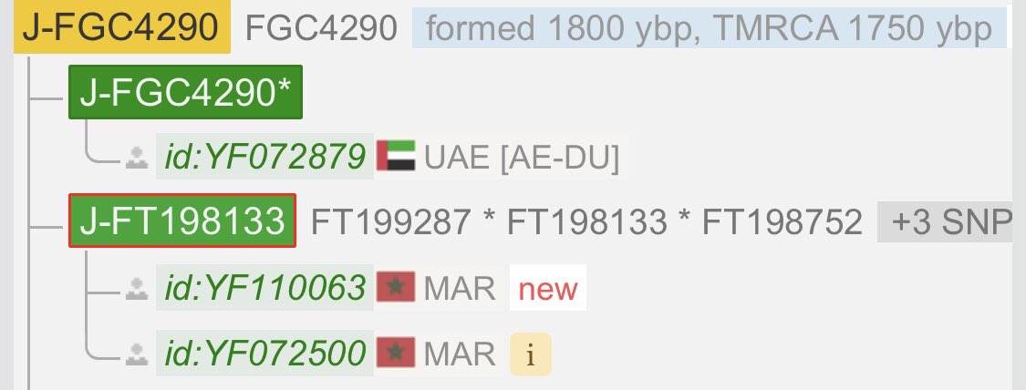 FGC4290's tweet photo. ظهرت نتيجة عينة قبيلة المهاية بجانب عينة الأستاذ محمد المنصيفي من المغرب حيث ت��ترك معه بأكثر من خمس تحورات. https://t.co/JosIHimcoc