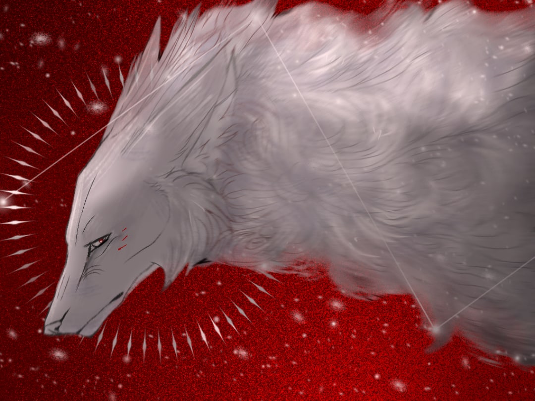 Какой ракурс будет лучше, без понятия.. так что, вот.