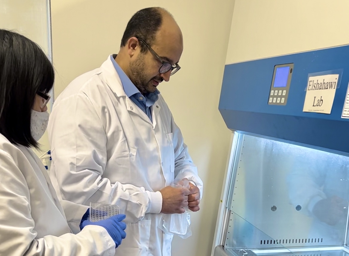 A recent #R03 grant has been awarded to Dr. <a href="/SherifElshahawi/">Sherif Elshahawi</a> for his work at #ChapmanPharmacy 💉 Read about his cutting-edge research on structurally modifying drugs to develop new antibiotics that combat resistant bacteria
tinyurl.com/kunbynpk