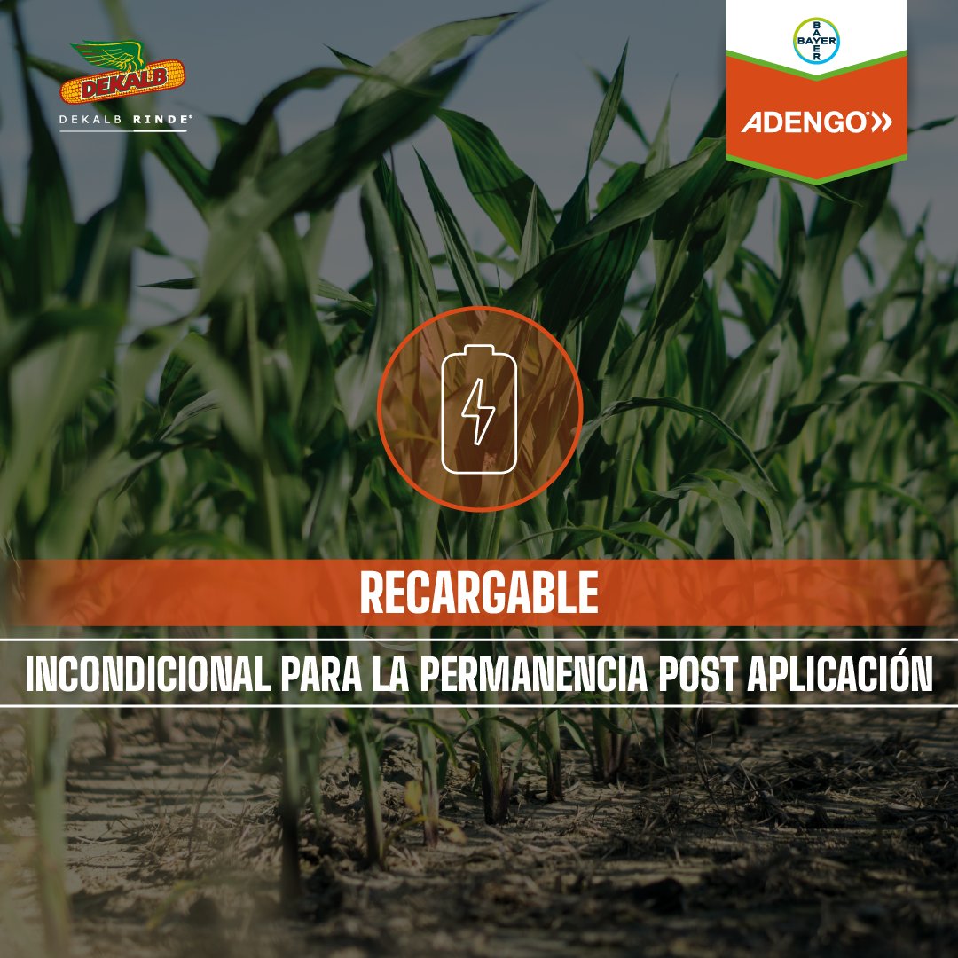 #ADENGO es el herbicida preemergente que, gracias a su efecto recargable, se estabiliza en el suelo ante condiciones de sequía y se reactiva luego de una lluvia 💧, asegurando el control residual sobre las principales malezas del cultivo🛡🌽