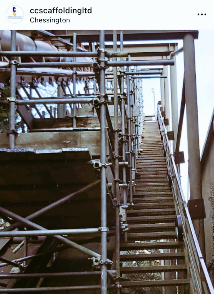 Chessington Buzz tweet media