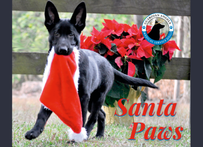 MediServiceDogs's tweet photo. 🎄#SantaPaws is on his way-but first he needs your help to make Christmas dreams come true for a person on our waitlist😇 Just a $5 gift from all of our friends would cover the cost of training another #ServiceDog💙🎁 https://t.co/00VdzU4aeu
#ServiceDogs #MakingMiracles https://t.co/epjEBilMu9